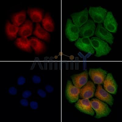 Валидация Affinity DF13361 - 8586