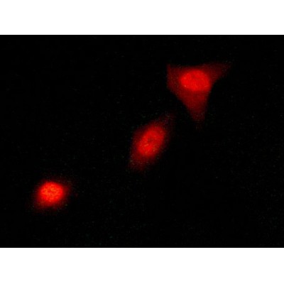 Валидация Affinity AF6073 - 3278