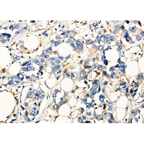 Валидация Affinity DF7682 - 19455