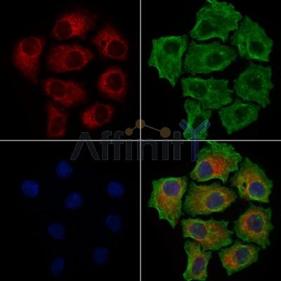 Валидация Affinity DF7756 - 19569