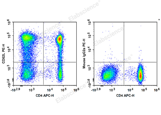 Валидация Elabscience E-AB-F1336D