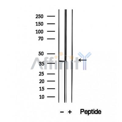 Валидация Affinity DF12326 - 6731