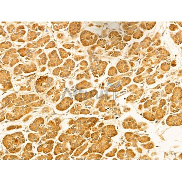 Валидация Affinity DF12164 - 6361