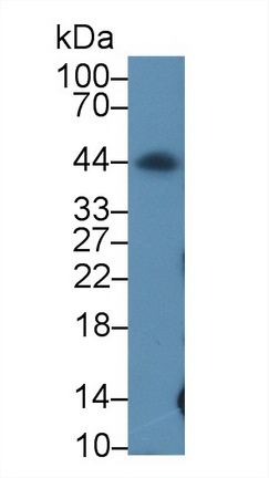 14756