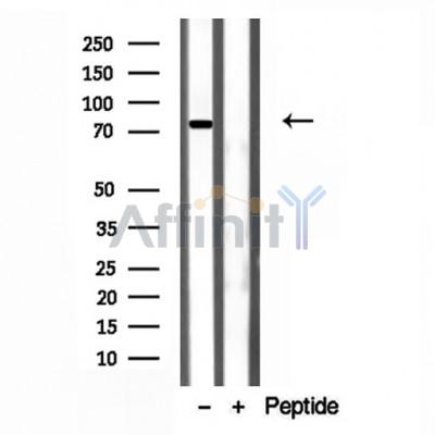 Валидация Affinity DF12149 - 6337