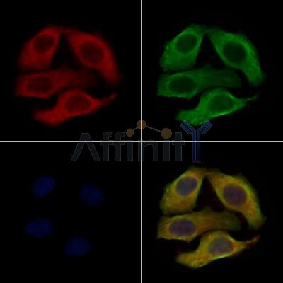 Валидация Affinity AF7540 - 4197