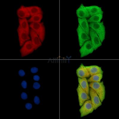 Валидация Affinity DF15482 - 11855