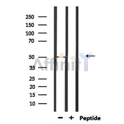 Валидация Affinity DF9493 - 22110