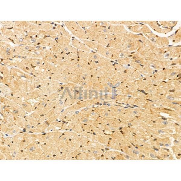 Валидация Affinity DF2935 - 13680