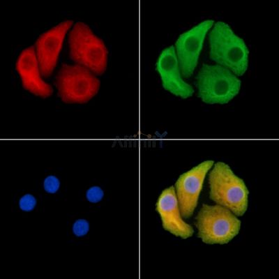 Валидация Affinity DF14292 - 10169