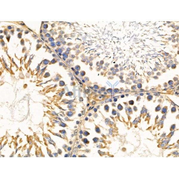 Валидация Affinity DF3139 - 13929