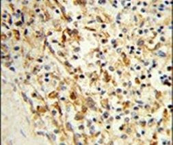 Валидация AssayVector ARM1415(1193)