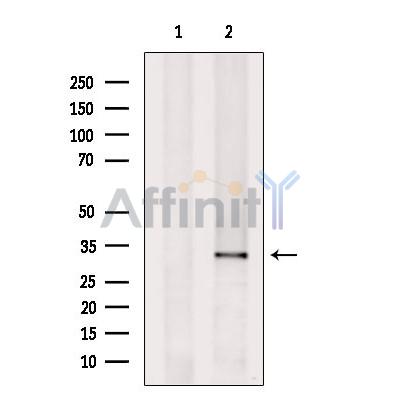 Валидация Affinity DF8921 - 21057