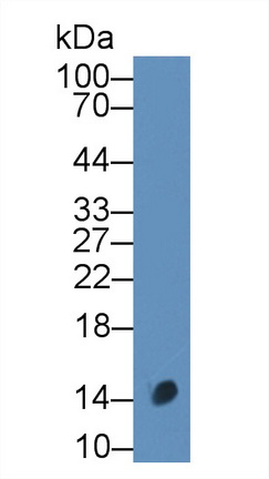 8993