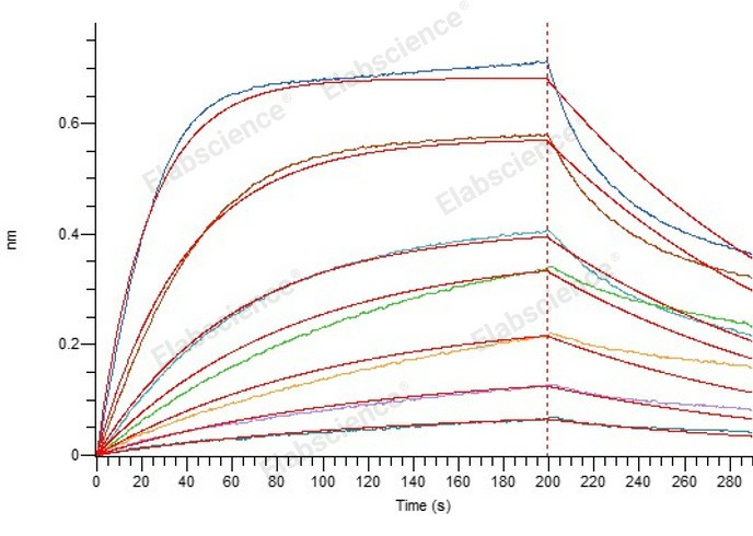 Валидация Elabscience PKSV030477(6202)