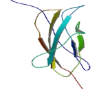 Glycoprotein 130 (gp130) Glycoprotein 130 (gp130)