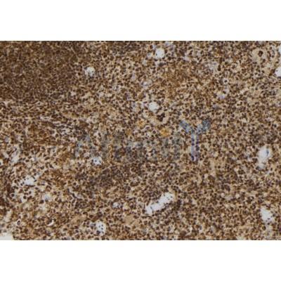 Валидация Affinity DF12142 - 6322