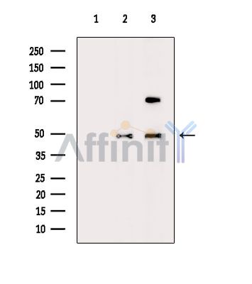 Валидация Affinity DF13848 - 9554