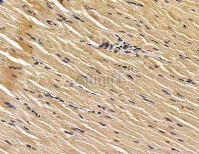 Валидация Affinity DF15053 - 11276