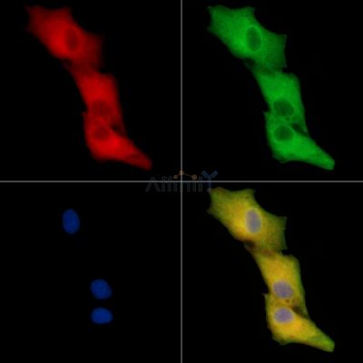 Валидация Affinity DF15125 - 11380