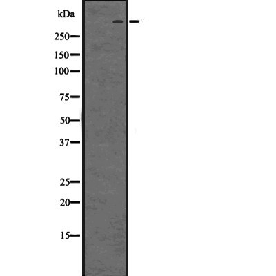 Валидация Affinity DF2914 - 13648
