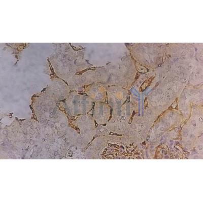 Валидация Affinity AF5226 - 2699