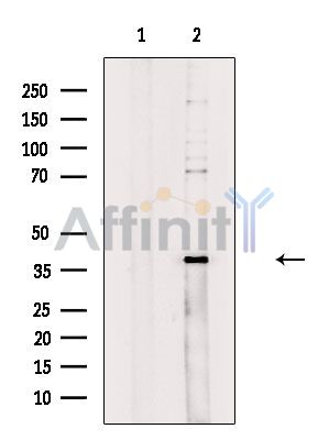 Валидация Affinity DF4275 - 15679