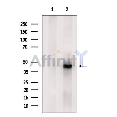 Валидация Affinity AF4001 - 2103