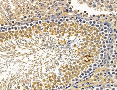 Валидация Affinity DF14045 - 9819