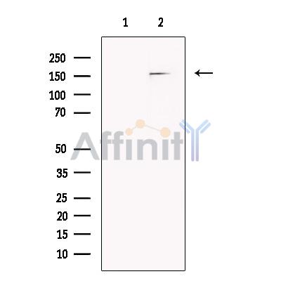 Валидация Affinity DF13372 - 8610