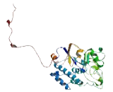 G Protein Coupled Receptor 42 (GPR42) G Protein Coupled Receptor 42 (GPR42)