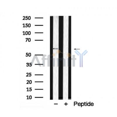 Валидация Affinity AF7899 - 4643