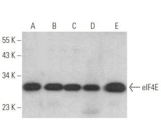 Валидация AssayVector ARM1766(2195)