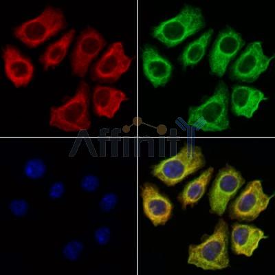 Валидация Affinity AF6311 - 3584