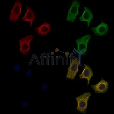 Валидация Affinity DF3781 - 14882