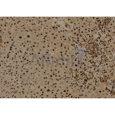 Валидация Affinity DF2940 - 13685