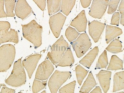 Валидация Affinity DF5203 - 17192