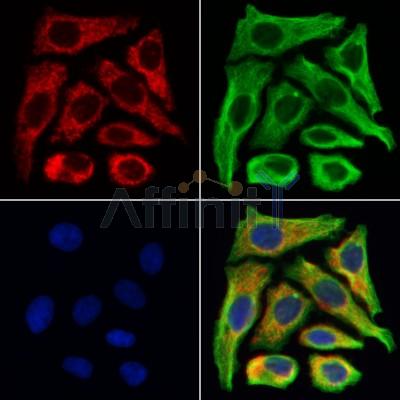 Валидация Affinity AF6412 - 3708