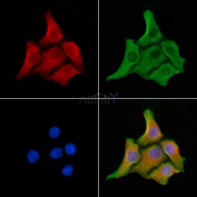 Валидация Affinity DF3873 - 15028