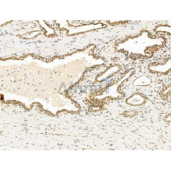 Валидация Affinity AF5476 - 3147