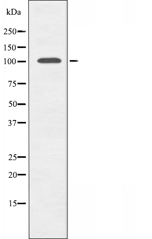 Валидация Affinity DF3420 - 14321