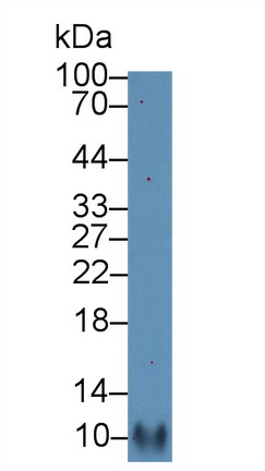 12957