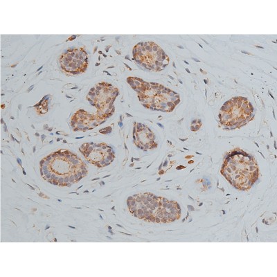 Валидация Affinity AF5358 - 2967