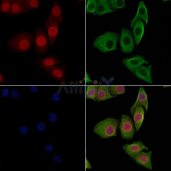 Валидация Affinity AF3771 - 2044