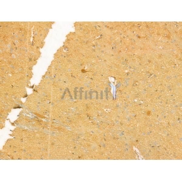 Валидация Affinity DF12240 - 6546