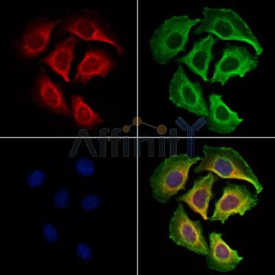 Валидация Affinity DF13612 - 9122