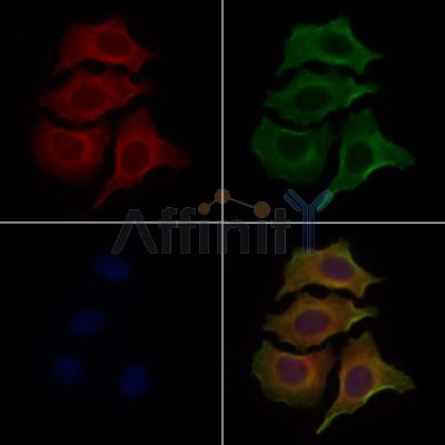 Валидация Affinity DF2842 - 13605