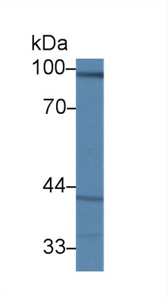 12520
