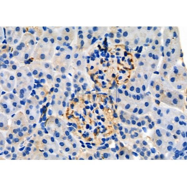 Валидация Affinity DF4274 - 15678