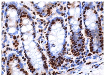 Валидация AssayVector ARM1022(66)